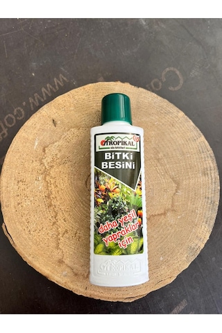 Yeşil Yapraklı Bitkilere Uygun Bitki Besini