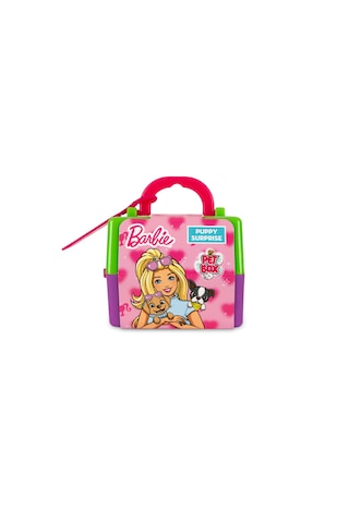 Barbie Puppy Surprise Pet Box Sürpriz Yavru Köpek Ve Aksesuar Seti 1 Adet