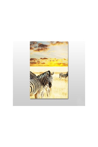 Zebra Kanvas Tablo 140x70