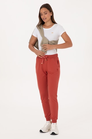 U.s. Polo Assn. Kadın Gül Kurusu Eşofman Altı 50313584-vr026 Gul Kurusu