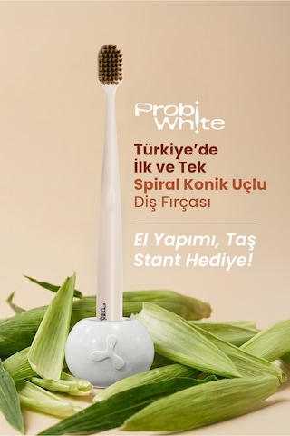 Probiwhite Spiral Uçlu Doğal Vegan Diş Fırçası El Yapımı Stant Hediye