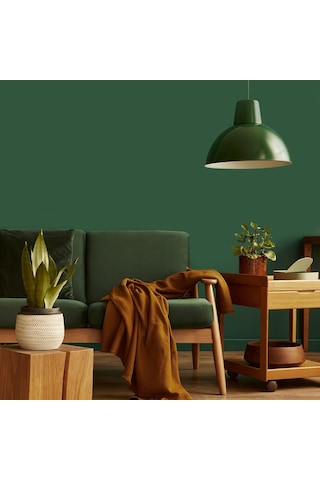 Filli Boya Momento Silan Kaktüs95 Yıkanabilir İç Cephe Boya 2.5 L