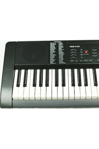 NEMESİS NEM-3100 61 TUŞ HASSASİYETLİ ORG
