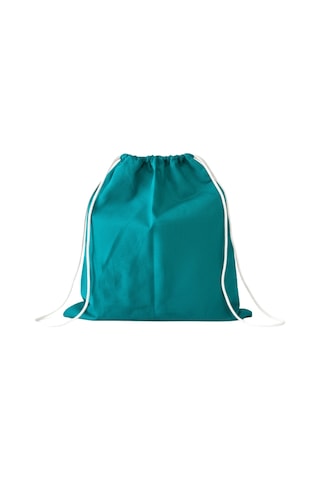 Baghashtag Yeşil Bez Kese 20 Cm X 30 Cm Diğer