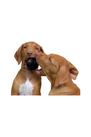 Kong Köpek Extreme Oyun Topu M-l 8cm