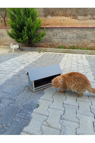 Ahşap Dış Mekan Suya Dayanıklı Kedi Yemlik Mamalık 22x45 Cm