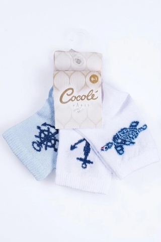 Cocole Socks Erkek Çocuk Soket Çorabı 3 Lü Set Pamuklu Kaplumbağa & Nautical Konsept Desenli Çok Renkli