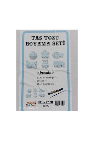 Taş Boyama Taş Tozu Boyama Seti Hayvan Figürlü