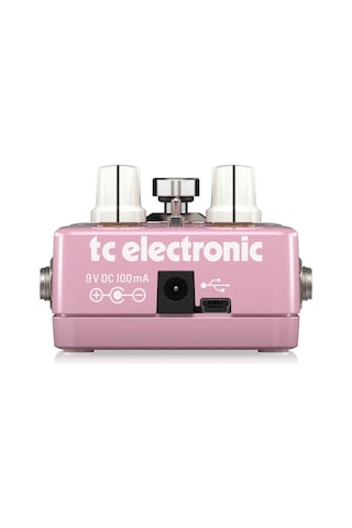 Tc Electronıc Braınwaves Pıtch Shıfter