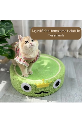 Raikou Kedi Tırmalama Alanı Kedi Oyun Alanı
