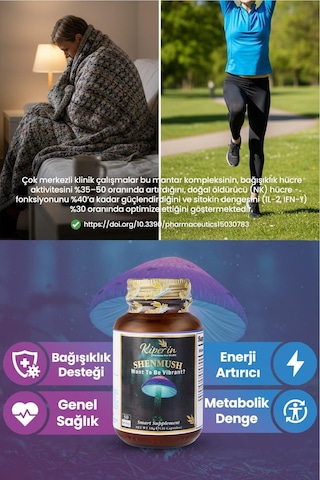 Kiperin Shenmush Ahcc, Reishi, Shiitake, Lions's Mane, Agaricus, Cordyceps Mantarları 30 Kapsül