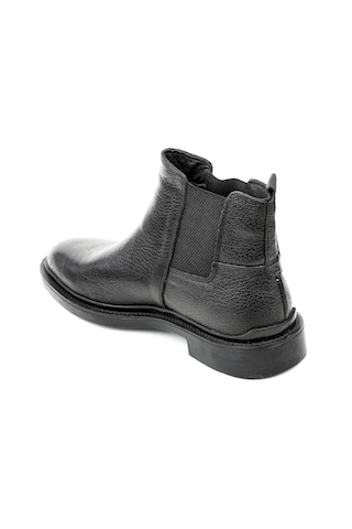 Dexter Dx396105-1 Renkli