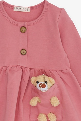Breeze Kız Çocuk Uzun Kollu Elbise Ayıcık Aksesuarlı 2-6 Yaş, Gülkurusu