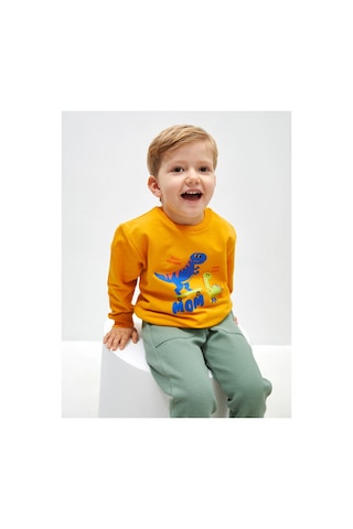 LC Waikiki Bisiklet Yaka Uzun Kollu Baskılı Erkek Bebek Sweatshirt Yellow