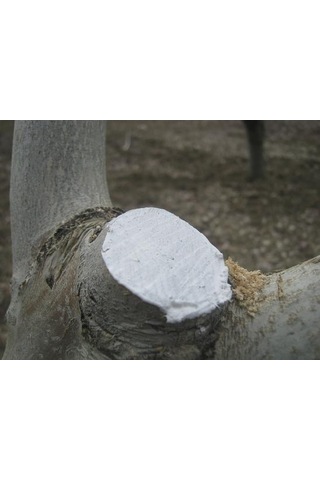 Gmt Pro-jell Aşı Ve Budama Macunu 250 Gr