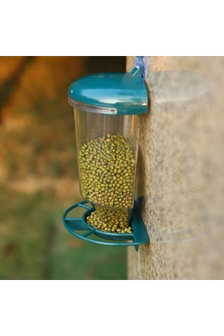 Pazly Şeffaf Açık Hava Kuş Yemliği, Pencere Asılı Sinek Kuşu Bahçe Yemliği