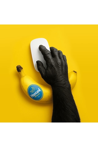 Mustard Banana Mouse Bilek Desteği