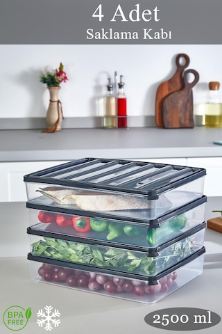 4 Adet 2500 Ml Dondurulmuş Öğünlük Et Ve Sebze Saklama Kabı