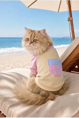 Soft Sun Kedi Tişörtü Cepli Şeker Renkli Yazlık Kedi Kıyafeti Soft Sun Kedi Tişörtü Cepli Şeker Renkli Yazlık Kedi Kıyafeti