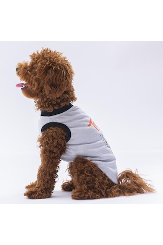 Pawstar Gri Travel Kedi Köpek Tişörtü Kıyafeti