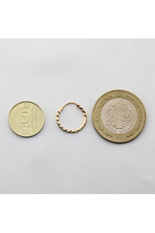 Pembe Altın Yelpaze Kalem İşli Halka Küpe Çapı: 1.5cm - Rose Gold Pembe Altın