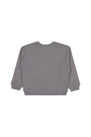 Civil Boys Aslan Nakışlı 6-9 Yaş Sweatshirt - Gri