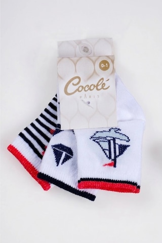Cocole Socks Erkek Çocuk Soket Çorabı 3 Lü Set Pamuklu Yelkenli & Çapa Desenli Çok Renkli