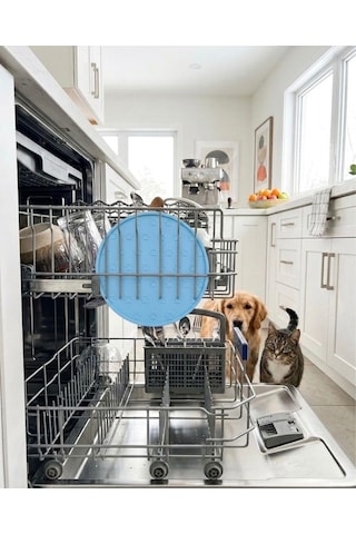 Silikon Mama Matı Kedi & Köpek İçin / Kaymaz, Yıkanabilir, Havuzlu Mama Altlığı Mavi
