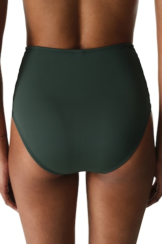 Penti Yeşil High Fashion Bikini Altı