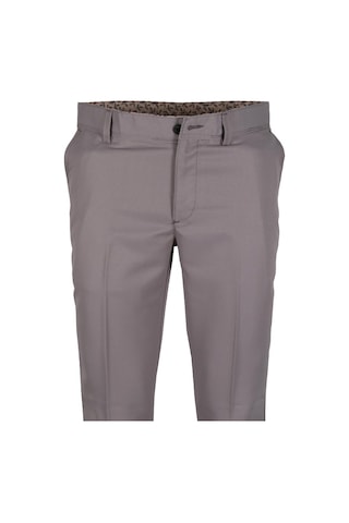 Erkek Keten Pantolon Klasik Normal Kesim Rar01157 Gri