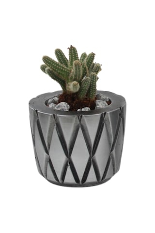 Saksı Çiçek Kaktüs Saksısı Lüx 11 Cm Altın Eskitme Varak Boyalı Baklava Desen Saksı Çiçeklik - Gümüş Eskitme