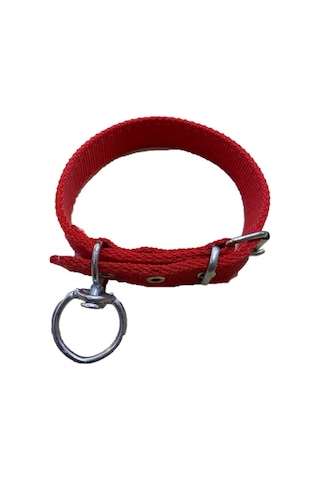 Kedi - Köpek Boyun Tasması 50 CM