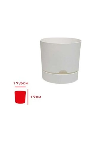 Polıwork Saksı Begonya 18 Cm Beyaz