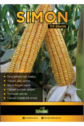 Mısır Tohumu Sımon 110 Günlük