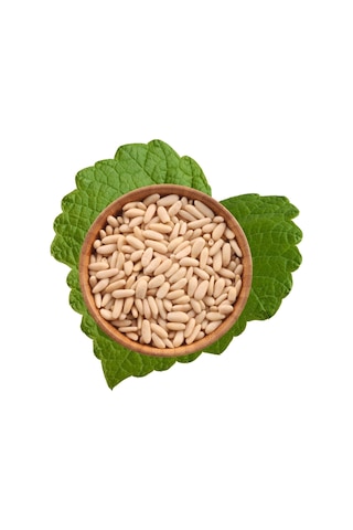 Antik Kuruyemiş Çam Fıstık Dolmalık 500 G Antik Kuruyemiş Çam Fıstık Dolmalık 500 G