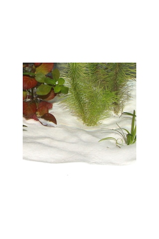 Sansıbar - 353 - Kar Beyazı 10 - Shopgpt - Kg Kum