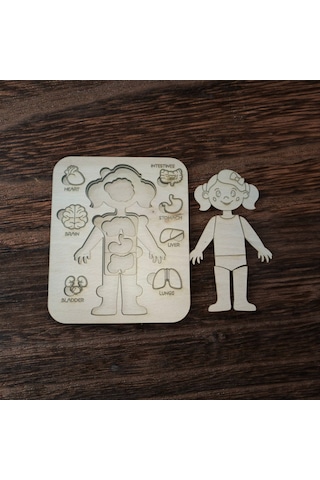 Ahşap Anatomi Puzzle Öğretici Organ Oyunu Kız/erkek