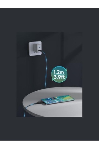 Rp-cb1037 Ravpower Apple Uyumlu iPhone Hızlı Şarj Kablo 60w C-c 1.2m Type-c