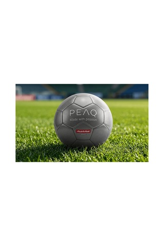 Peaq Futbol Topu Gri