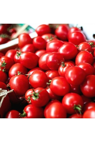 Bykurt Sunagri Cherry Domates Tohumu - Parlak Kırmızı Lezzetli Yüksek Verimli Askıya Uygun Cherry Domates Tohumu