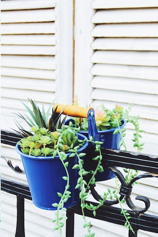 Arma House Country Tarzı Mavi Galvaniz Ahşap Kuluplu İkiz Saksı & Vazo