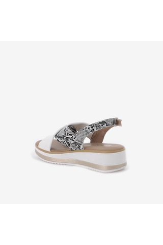 IGI&Co Sandalet Kadın 1186622 Igı&co Dpt 11866 Roccia Taş