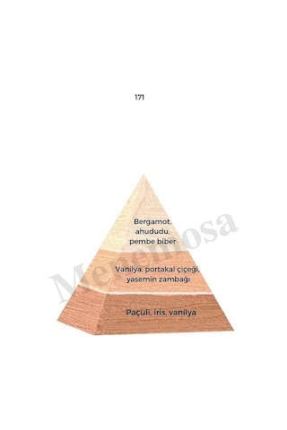 Bargello 171 Kadın Parfüm 50 ML EDP Floral - Mnms50171 Aromatik