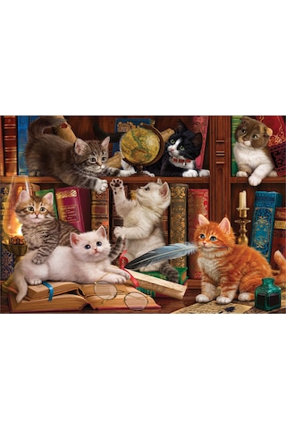 Anatolian 500 Parçalık Puzzle - Kediler ve Kitaplar 3618
