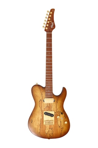 Fujigen Iliad Elektro Gitar Eılew1hsrm/hcb