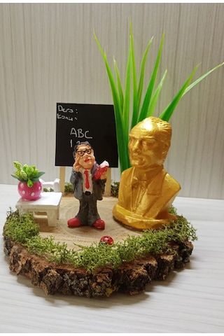 Kütük Teraryum-Erkek