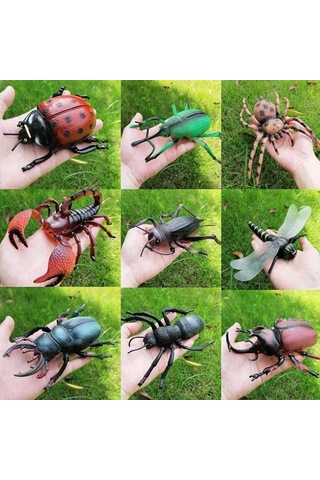 Tenfowee Çocuklar İçin Eğitici Bilgi Verici Böcek Modeli Oyuncak, Fen Ve Doğa Tanıma Hediyesi - Kuvvet Böceği