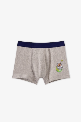Penti Erkek Çocuk Capybaras With Cars Araba Desenli Pamuklu 3lü Boxer Çok Renkli