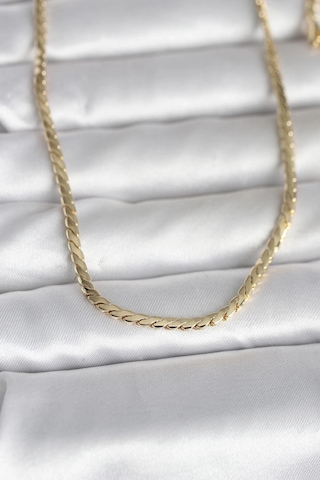 Ceylan Adam Cm 14k Gold Renk Yassı Model 60 Cm Kadın Kolye Çok Renkli