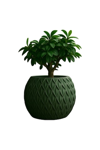 Yeşil Modern Tasarım Dekoratif Saksı